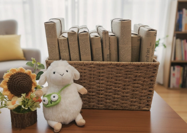 The Mochii Box: Pre‑Loved Book Blind Date